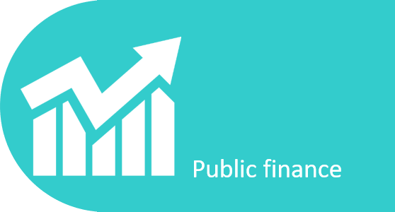  Elements of Public Finance